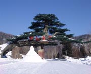 牡丹今天天气