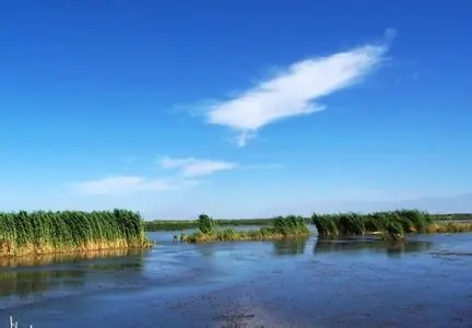 博湖今天天气