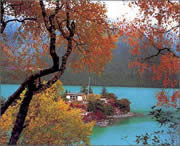 林芝今天天气