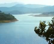 确山今天天气