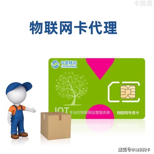 小鲸物联卡代理，开启物联网新时代的机遇与挑战小鲸物联卡怎么代理的