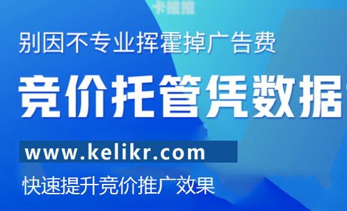 提升网站流量的有效策略网络流量推广公司