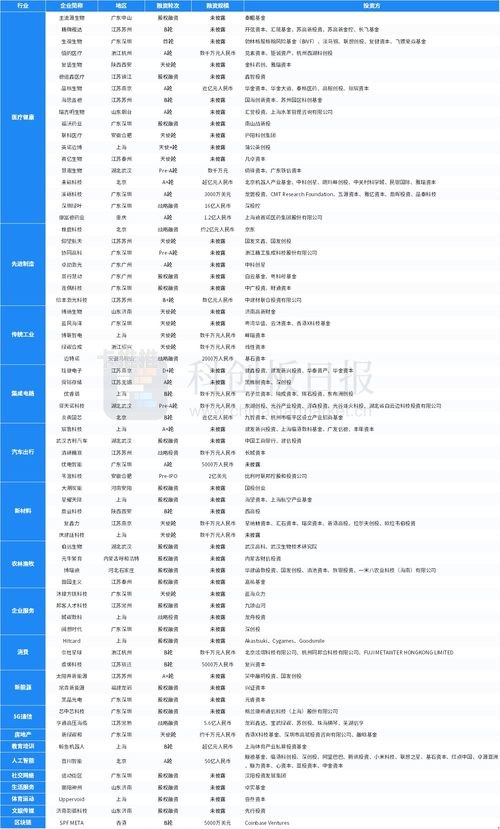 敢探号供应商一级代码，解密创新与合作的关键