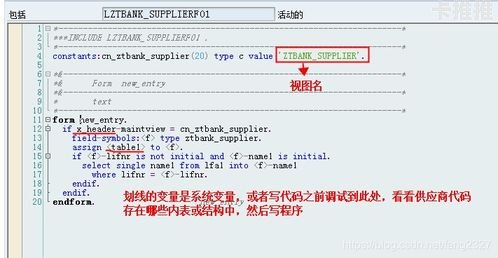 敢探号供应商代码，探索创新与品质的密码敢探号供应商代码怎么查