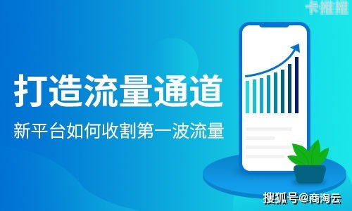 流量平台推广，提升品牌知名度与业务增长的关键策略流量平台推广怎么做
