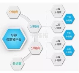 敢探号分销系统——开启财富之门的钥匙敢探号分销系统一级总代移动