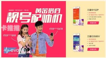 靓号分销，市场潜力与运营策略靓号分销代理