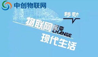 联网卡代理的奥秘与风险互联网卡代理