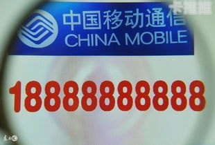 手机靓号代理，满足你对独特号码的渴望代理手机靓号挣钱吗