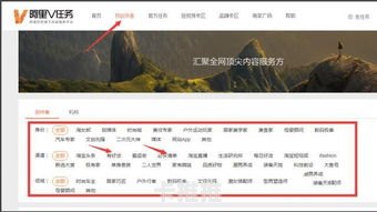 掌握这些技巧，轻松推广引流量如何推广引流量产品