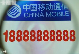 手机靓号代理的全方位指南手机靓号怎样代理赚钱