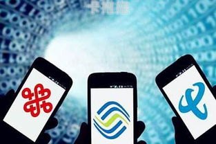 靓号代理，掘金市场的新选择靓号代理能赚多少钱