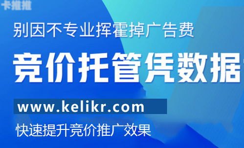 网络流量推广，提升网站曝光的关键策略网络流量推广公司