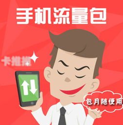 流量包代理，畅享无限网络的新选择流量包代理平台