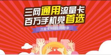 纯流量卡代理商，连接数字世界的桥梁纯流量卡代理平台
