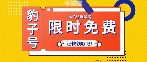 手机靓号代理，连接你与独特号码的桥梁全国各地手机靓号代理平台