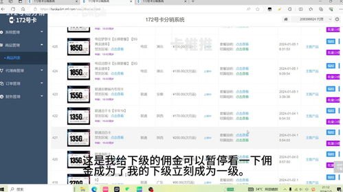 173 号卡分销系统，创新模式与商业机遇173号卡分销系统官网