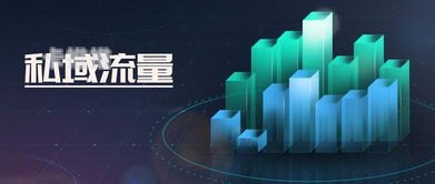 流量推广运营，提升网站流量的关键策略流量推广运营公司