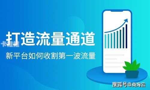 有效利用平台流量推广，实现业务增长平台流量推广有哪些渠道