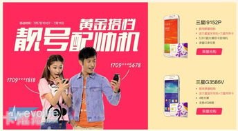 靓号分销，掘金数字时代的商机靓号分销系统