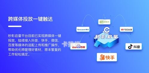 卡号代理平台，风险与挑战卡号代理平台 哪个