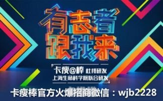 172 号卡分销一级代理，开启财富之门的钥匙172号卡分销一级代理推荐码