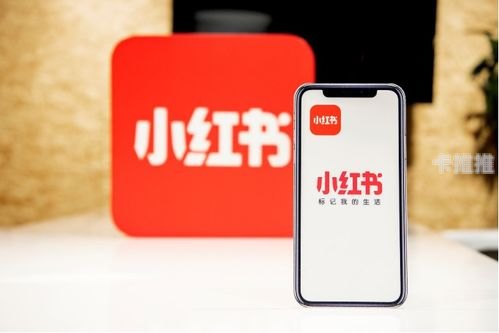 172 卡号平台，风险与挑战并存172卡号平台官网