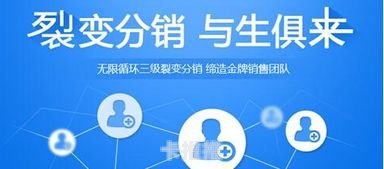 敢探号分销系统一级总代，引领分销新时代敢探号分销系统一级总代移动