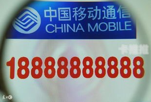 靓号代理，满足你的个性需求靓号代理加盟