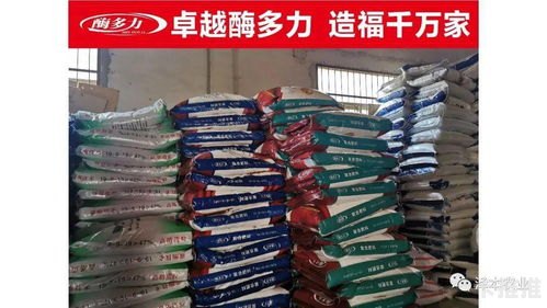 多多卡代理，便捷支付的新选择与市场前景分析多多卡批发