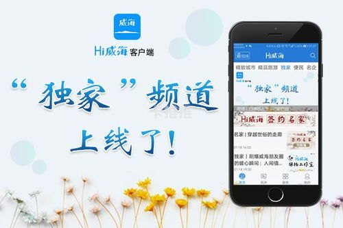 嗨浪随身WiFi代理是正规的吗？——深度解析其合法性与市场现状嗨浪wifi建议买吗