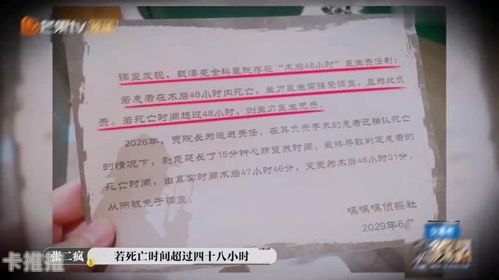 敢探号一级供应商，引领行业创新与卓越的先锋力量敢探号一级供应商代码