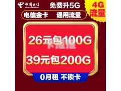 电信纯流量卡代理，市场前景与创业机遇电信纯流量卡代理怎么办理