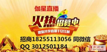 流量卡代理加盟平台哪个好？如何选择靠谱的加盟平台？流量卡代理加盟平台哪个好一点
