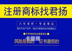 河北省内流量卡代理，市场前景与创业机遇河北省内流量卡代理公司