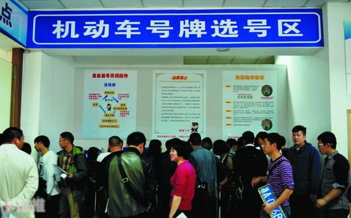 麦卡街号卡分销系统，数字化时代的智能分销解决方案麦卡街号卡分销系统App
