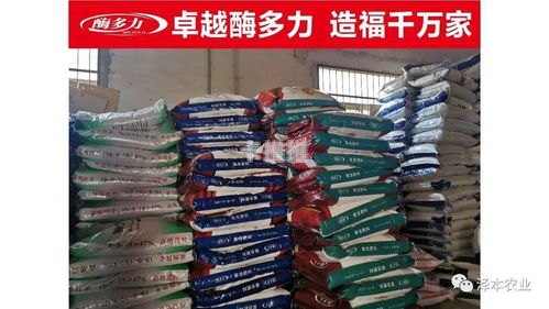 多多卡代理，便捷支付的新选择与市场前景分析多多卡批发